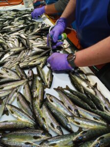 IMG_20220830_082907_289