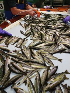 IMG_20220830_082915_849