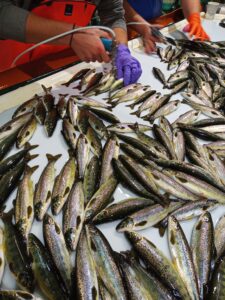 IMG_20220830_082919_167