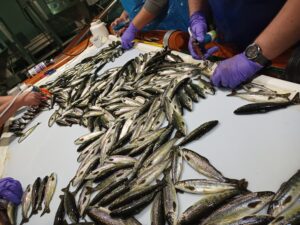 IMG_20220830_082931_877