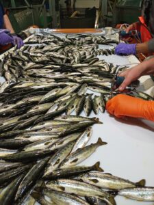 IMG_20220830_083249_506