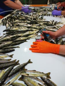 IMG_20220830_083259_803