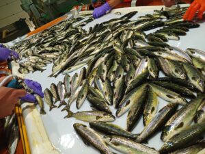 IMG_20220830_083631_231