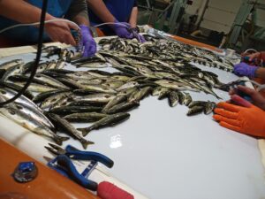 IMG_20220830_083640_422