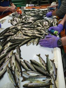 IMG_20220830_084025_460