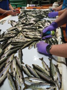 IMG_20220830_084029_626