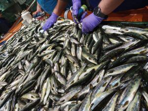 IMG_20220830_084938_039