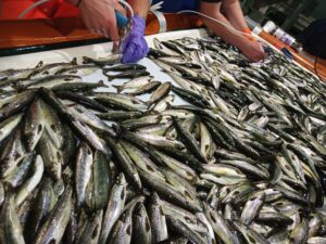 IMG_20220830_084944_757