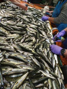 IMG_20220830_085010_601